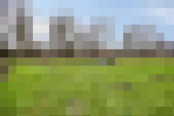 Vechtensteinlaan 69 Maarssen thumbnail 30