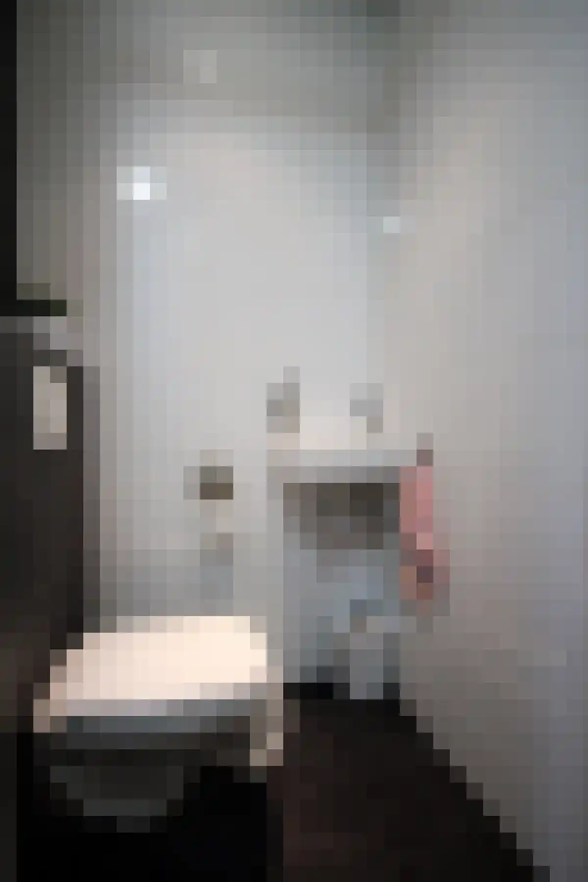 Vechterweerdstraat 42 Zwolle thumbnail 4