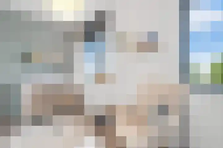 Vechterweerdstraat 48 Zwolle thumbnail 21
