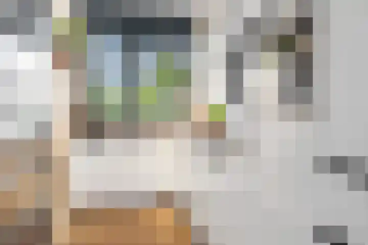 Vechterweerdstraat 48 Zwolle thumbnail 9