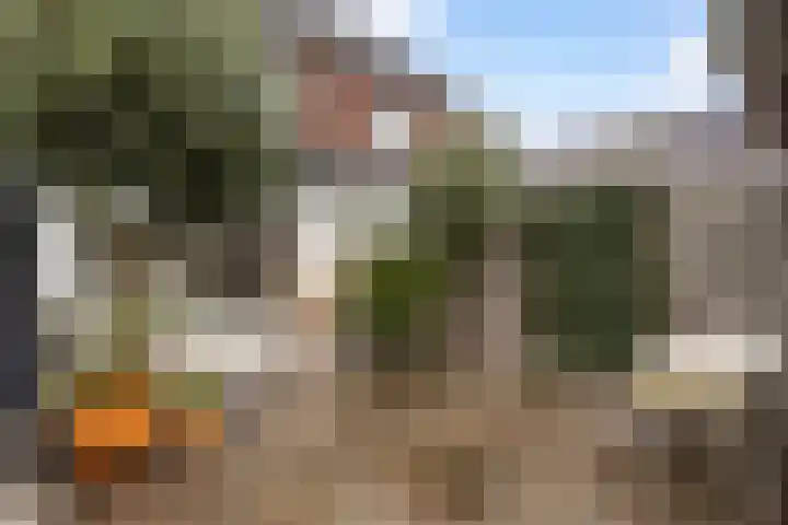 Vechterweerdstraat 60 Zwolle thumbnail 12