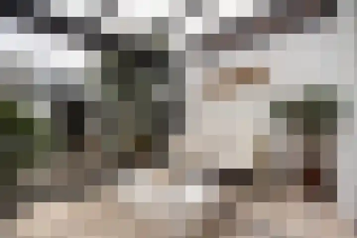Vechterweerdstraat 60 Zwolle thumbnail 8