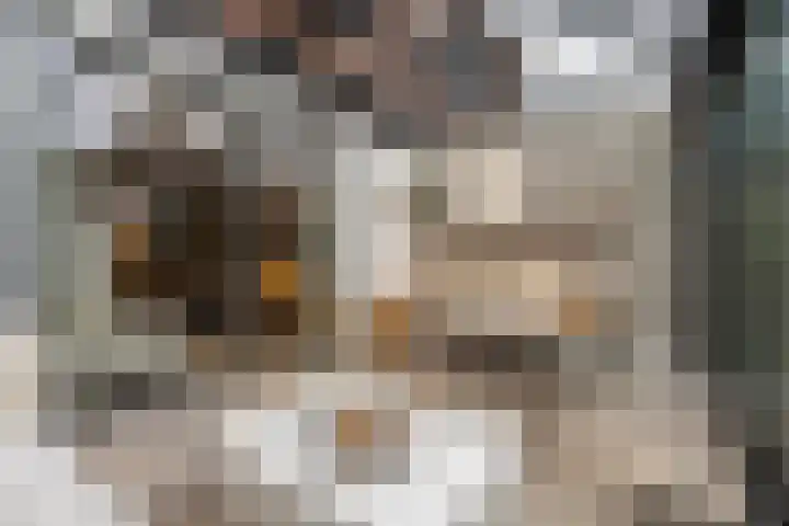 Vechterweerdstraat 60 Zwolle thumbnail 9