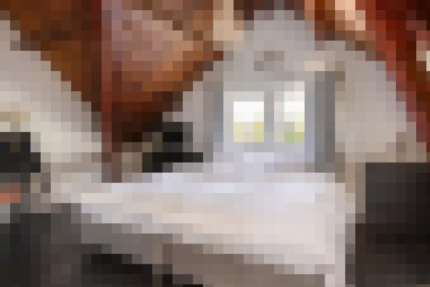 Vechtkade 10 Muiden thumbnail 36