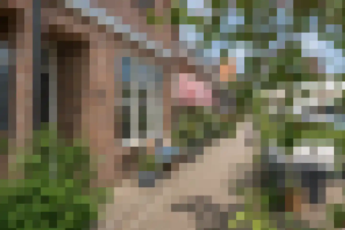Vechtkade 10 Muiden thumbnail 7