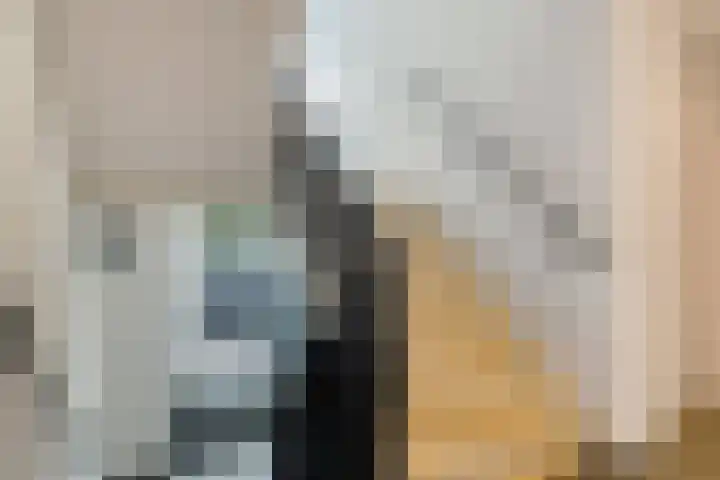 Vechtkade 23 Ommen thumbnail 10