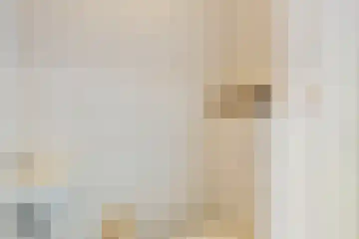 Vechtkade 23 Ommen thumbnail 14