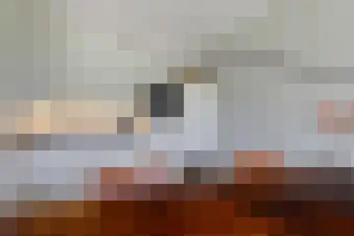 Vechtkade 23 Ommen thumbnail 22