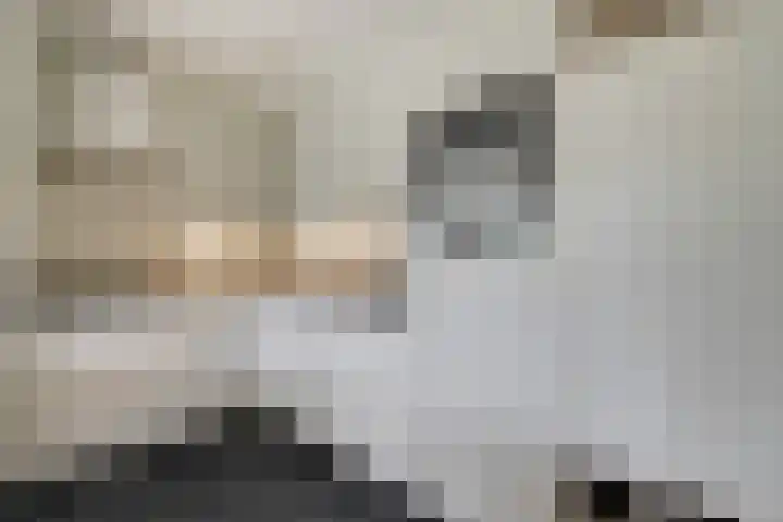 Vechtkade 23 Ommen thumbnail 23