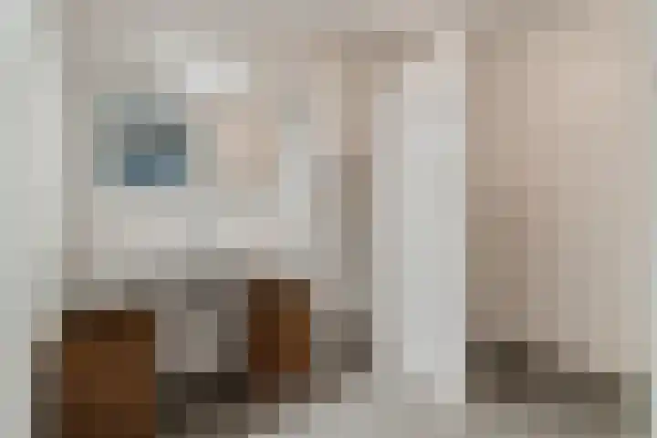 Vechtkade 23 Ommen thumbnail 34