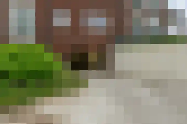Vechtkade 23 Ommen thumbnail 38