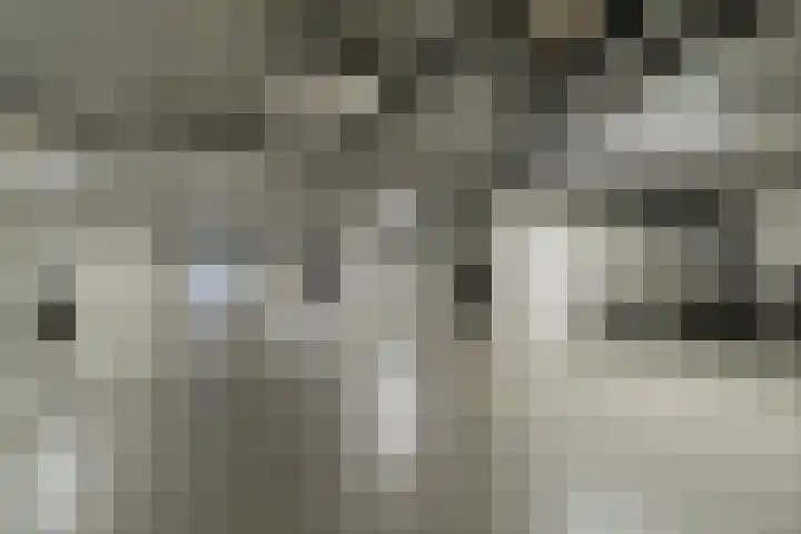 Vechtkade 23 Ommen thumbnail 40