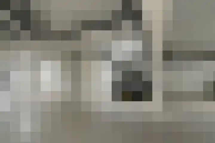 Vechtkade 23 Ommen thumbnail 41