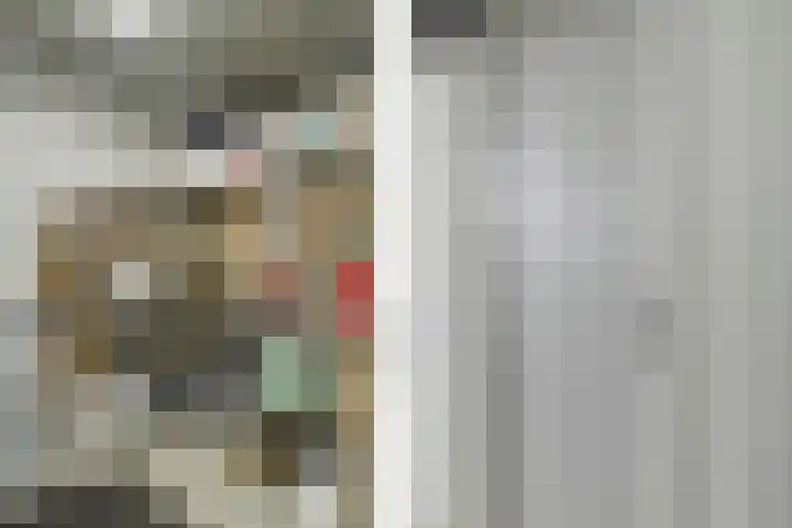 Vechtkade 23 Ommen thumbnail 43
