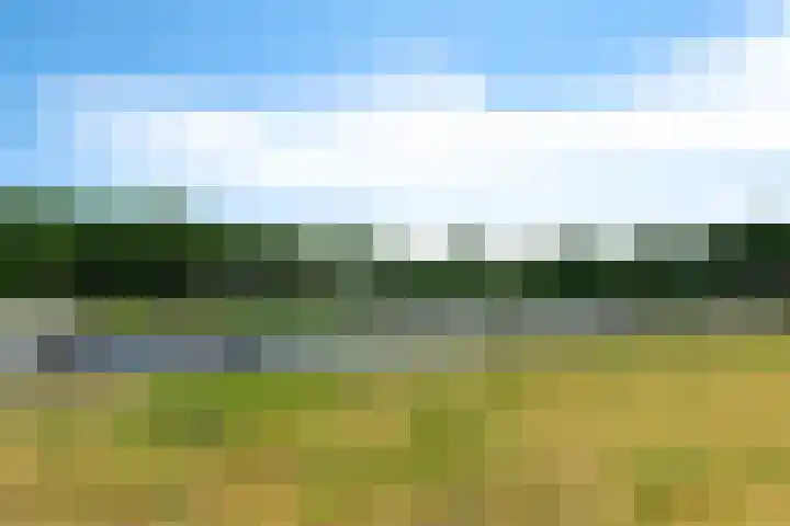 Vechtkade 23 Ommen thumbnail 50