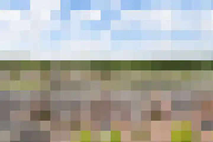 Vechtkade 23 Ommen thumbnail 57