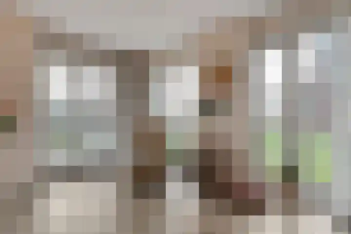 Vechtkade 43 Ommen thumbnail 24