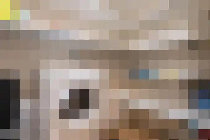 Vechtkade 43 Ommen thumbnail 39