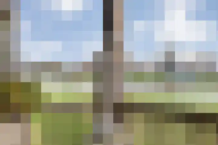 Vechtkade 43 Ommen thumbnail 42
