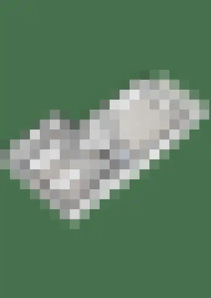 Vechtkade 43 Ommen thumbnail 49