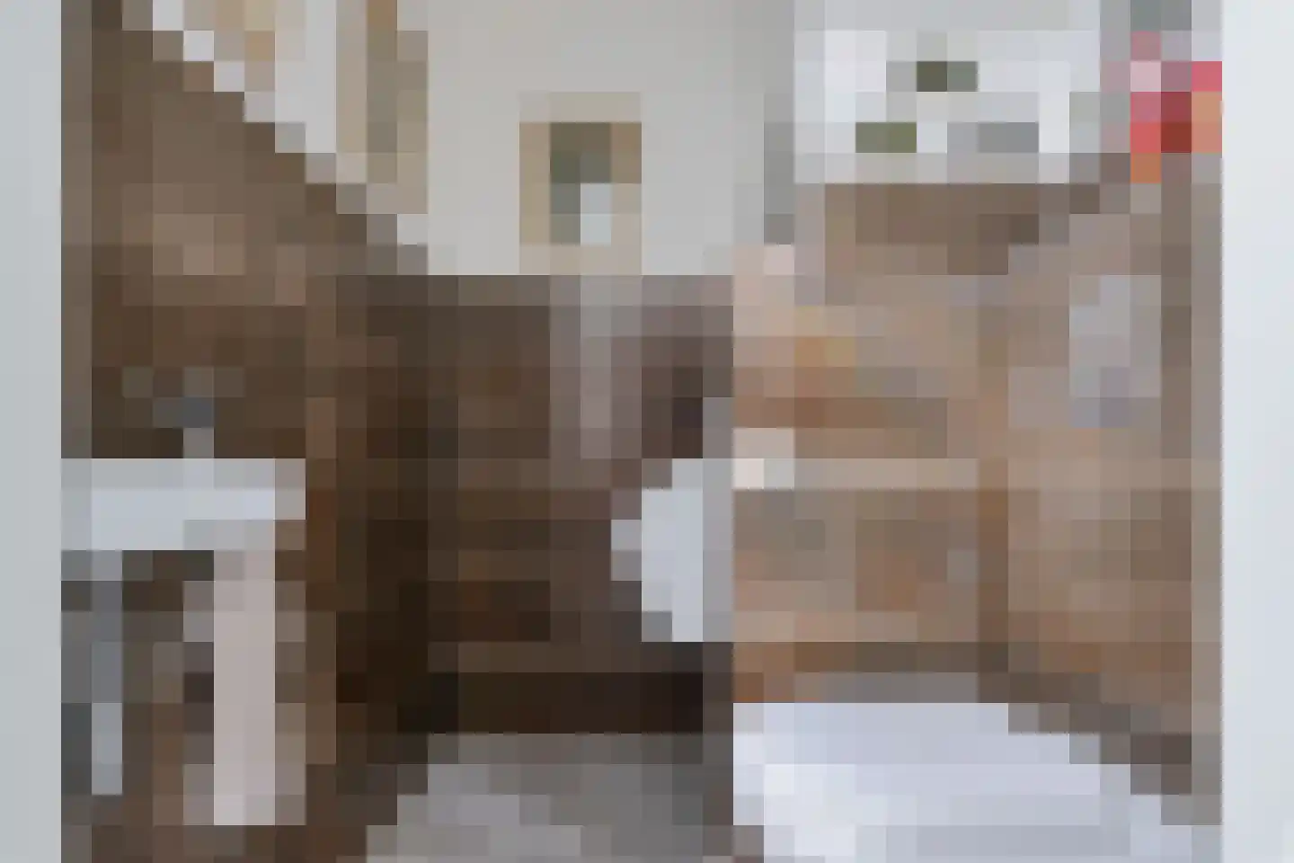 Vechtkade 51 Ommen thumbnail 10
