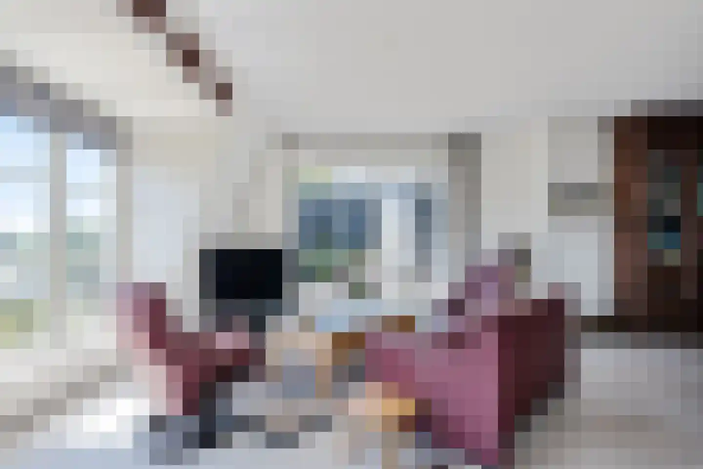 Vechtkade 51 Ommen thumbnail 13
