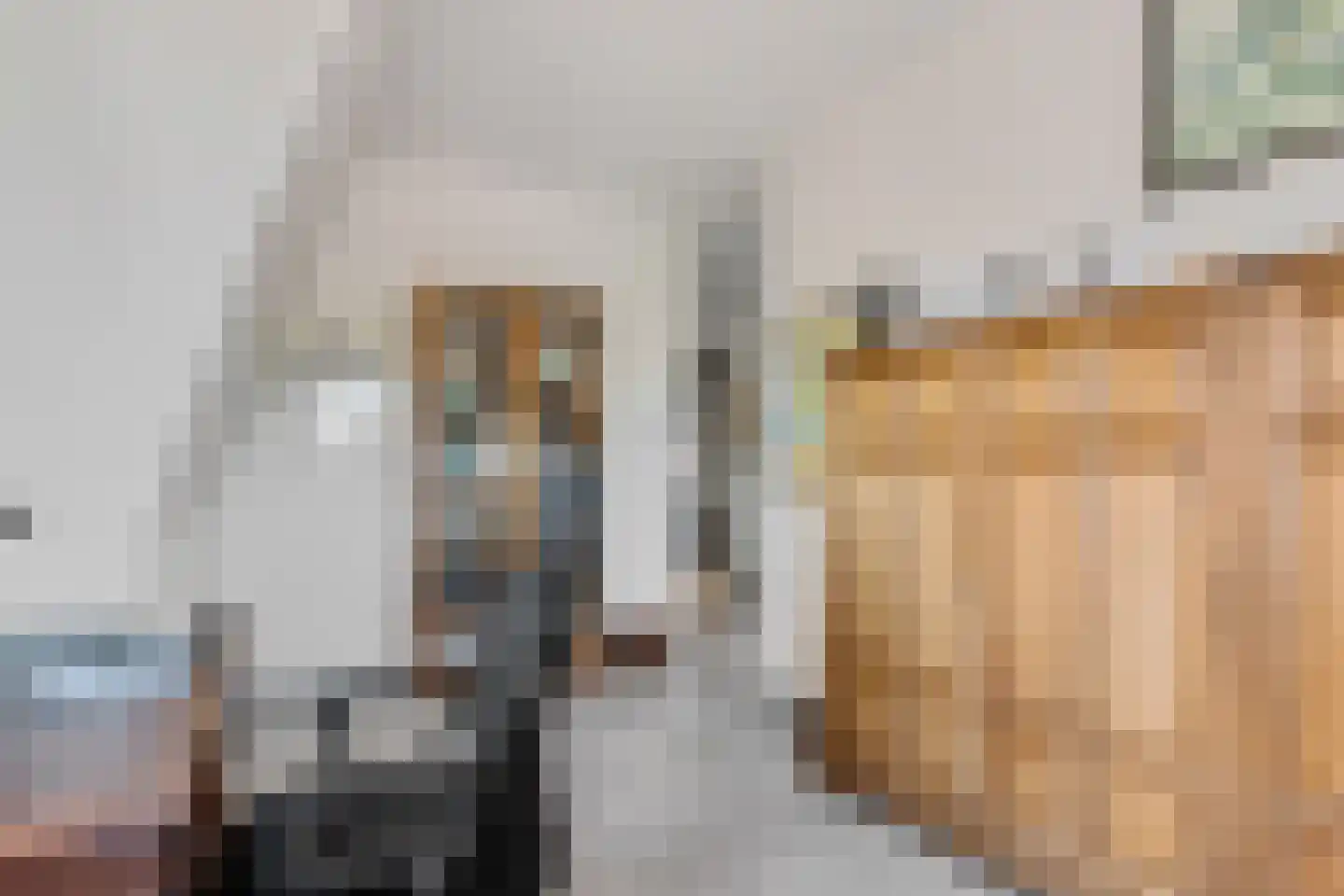 Vechtkade 51 Ommen thumbnail 24