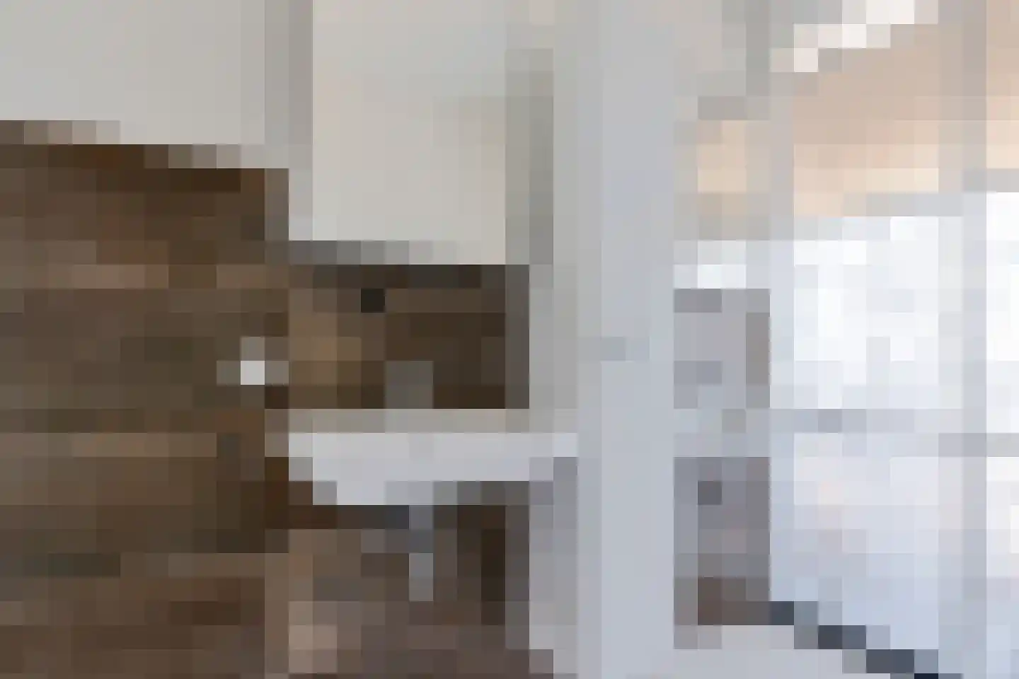 Vechtkade 51 Ommen thumbnail 32