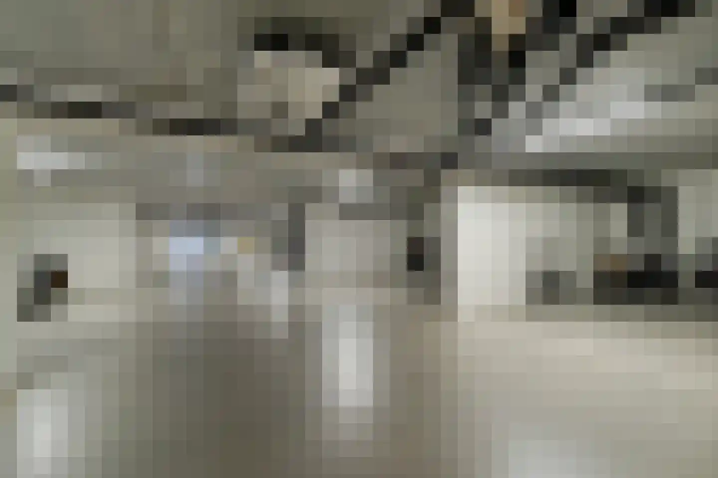 Vechtkade 51 Ommen thumbnail 45