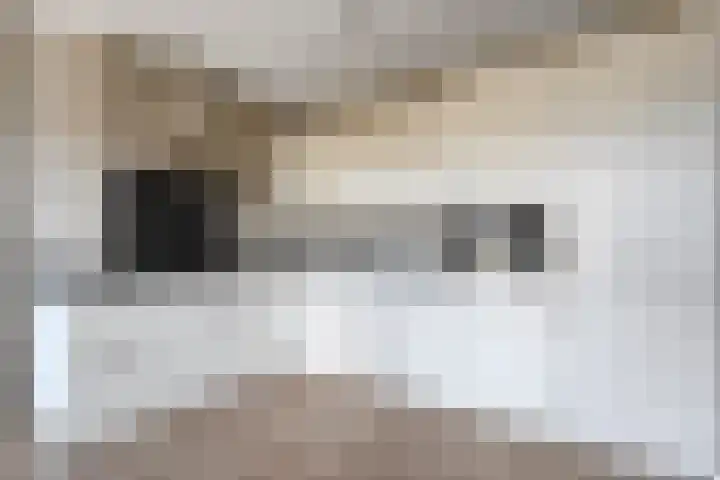 Vechtkade 7 Ommen thumbnail 11