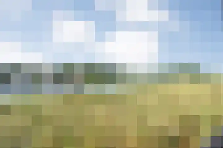 Vechtkade 7 Ommen thumbnail 30
