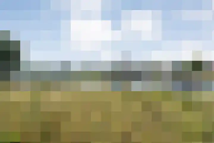 Vechtkade 7 Ommen thumbnail 31