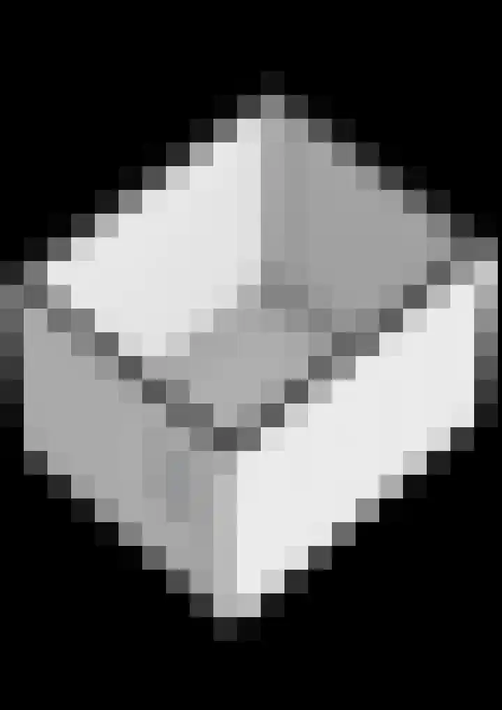 Vechtkade 7 Ommen thumbnail 45