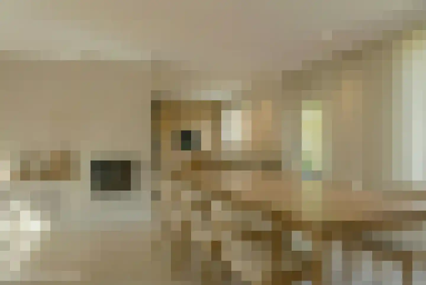 Vechtlaan 108 Hengelo thumbnail 17