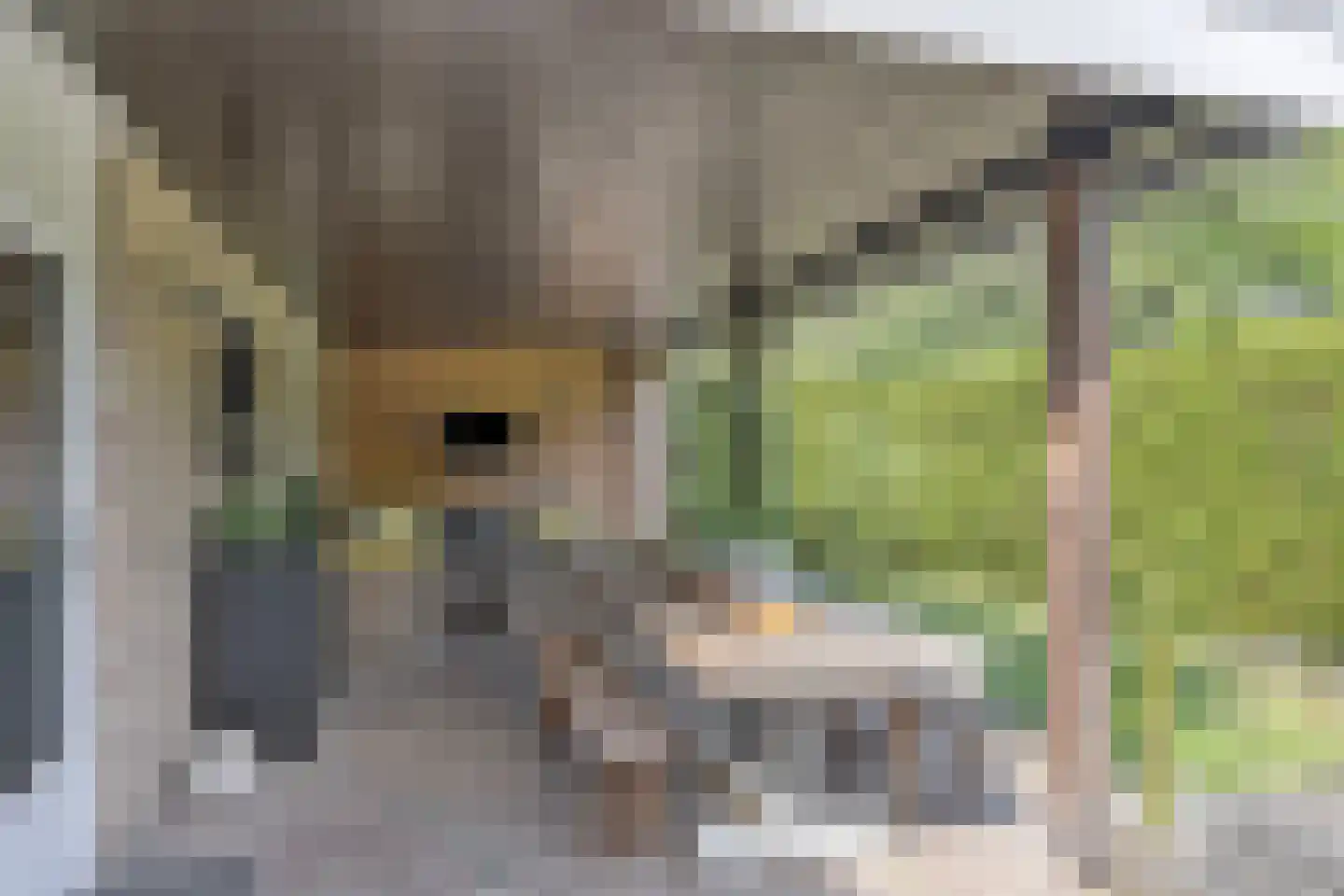Vechtlaan 108 Hengelo thumbnail 32