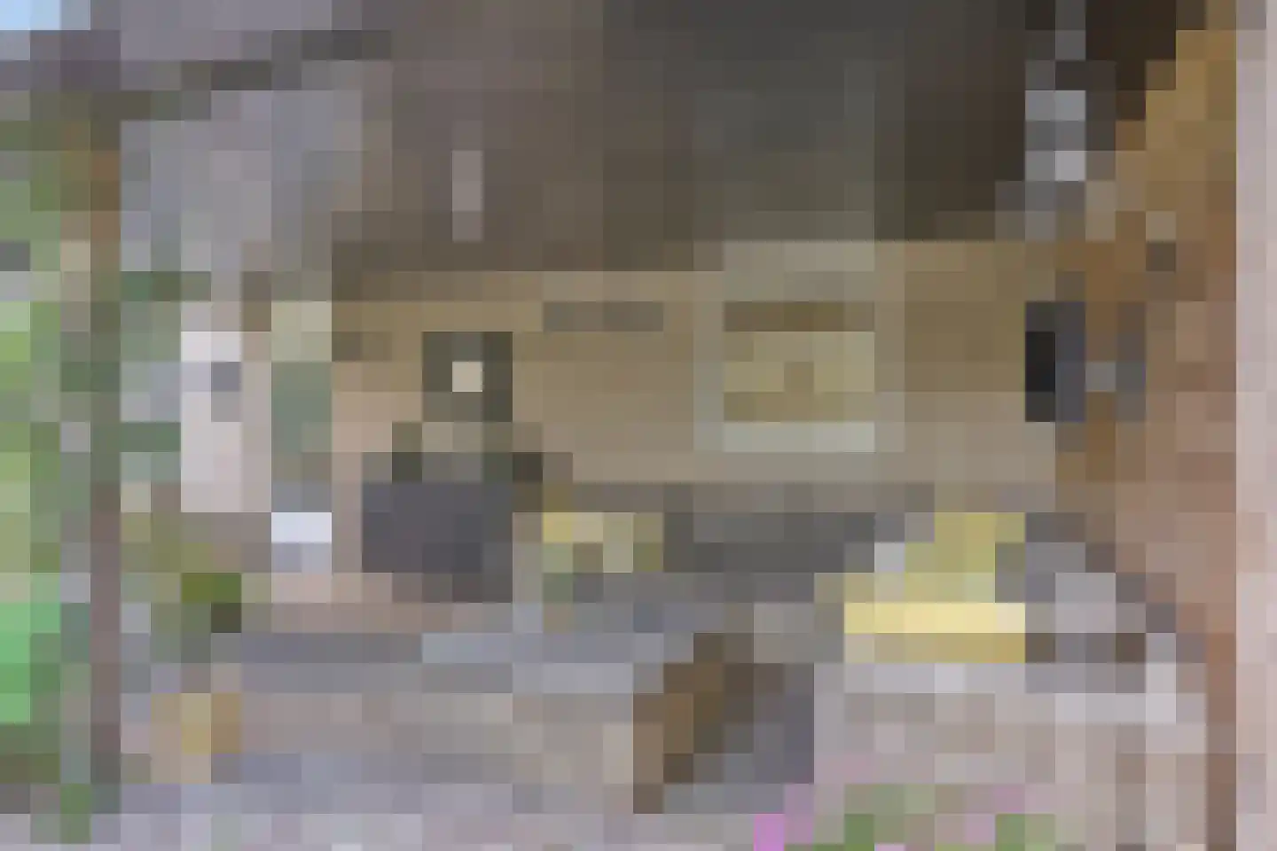 Vechtlaan 108 Hengelo thumbnail 33