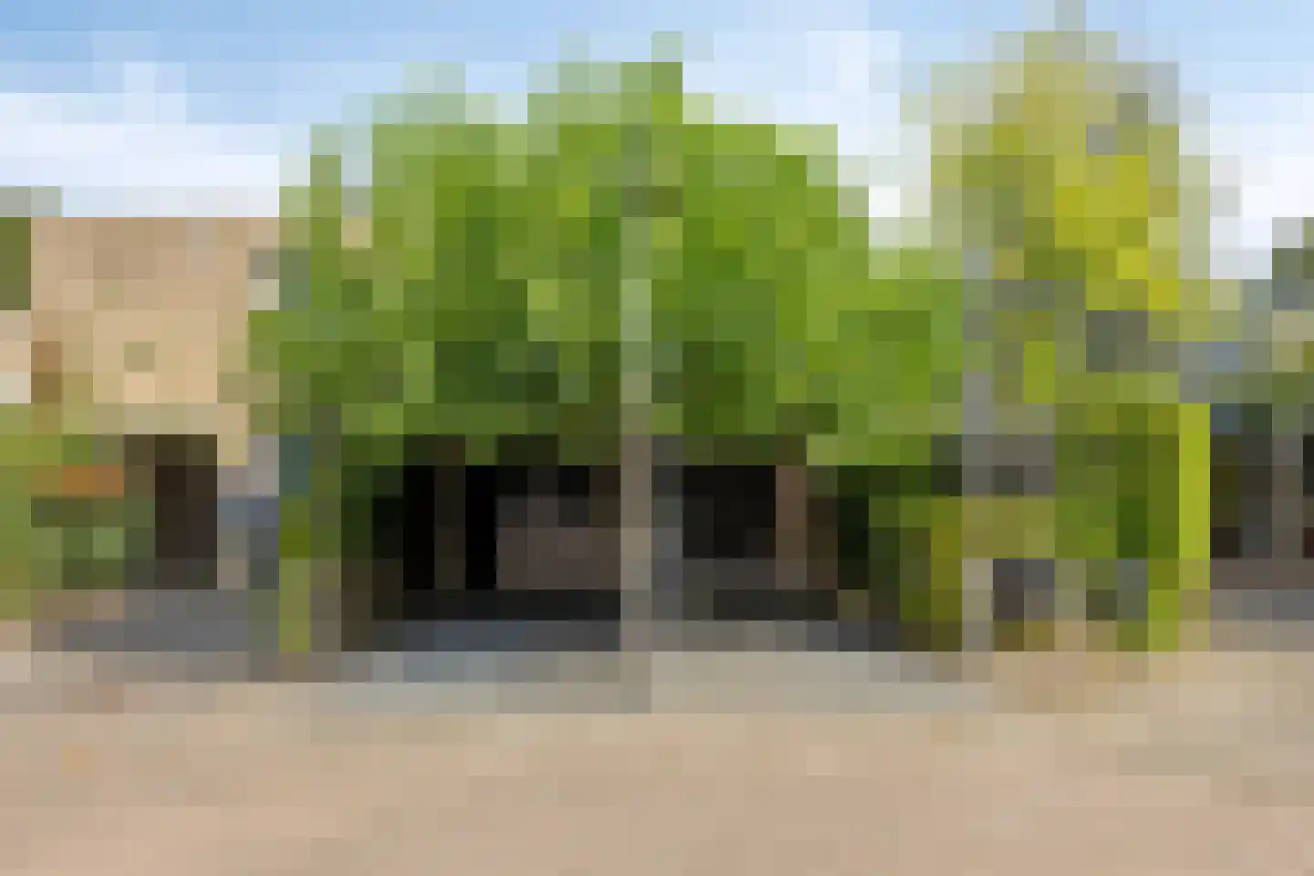 Vechtlaan 108 Hengelo thumbnail 38