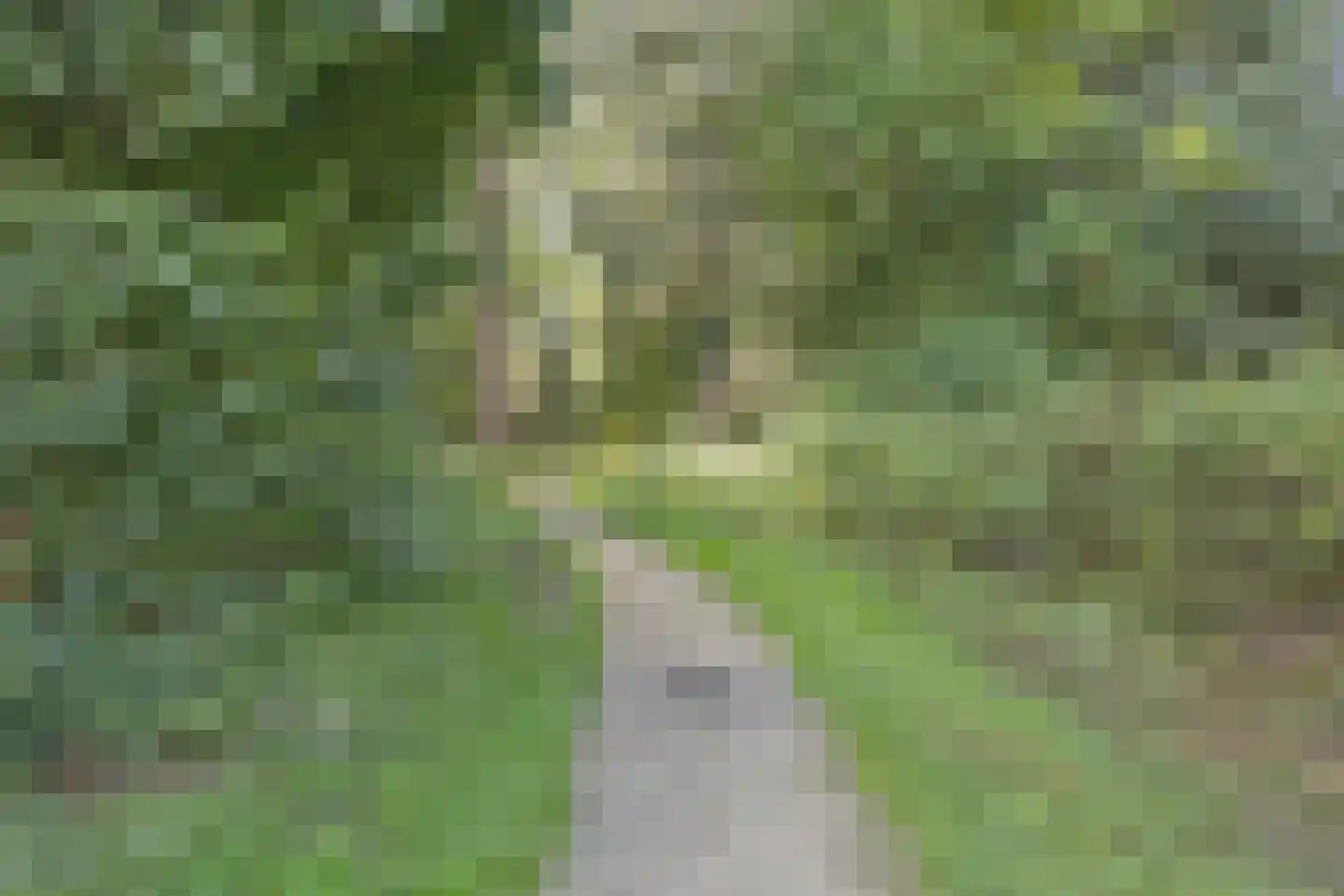 Vechtlaan 108 Hengelo thumbnail 42