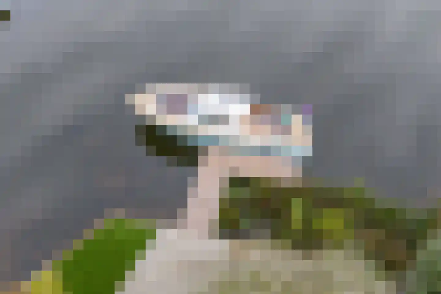 Vechtlaan 12 Kropswolde thumbnail 100