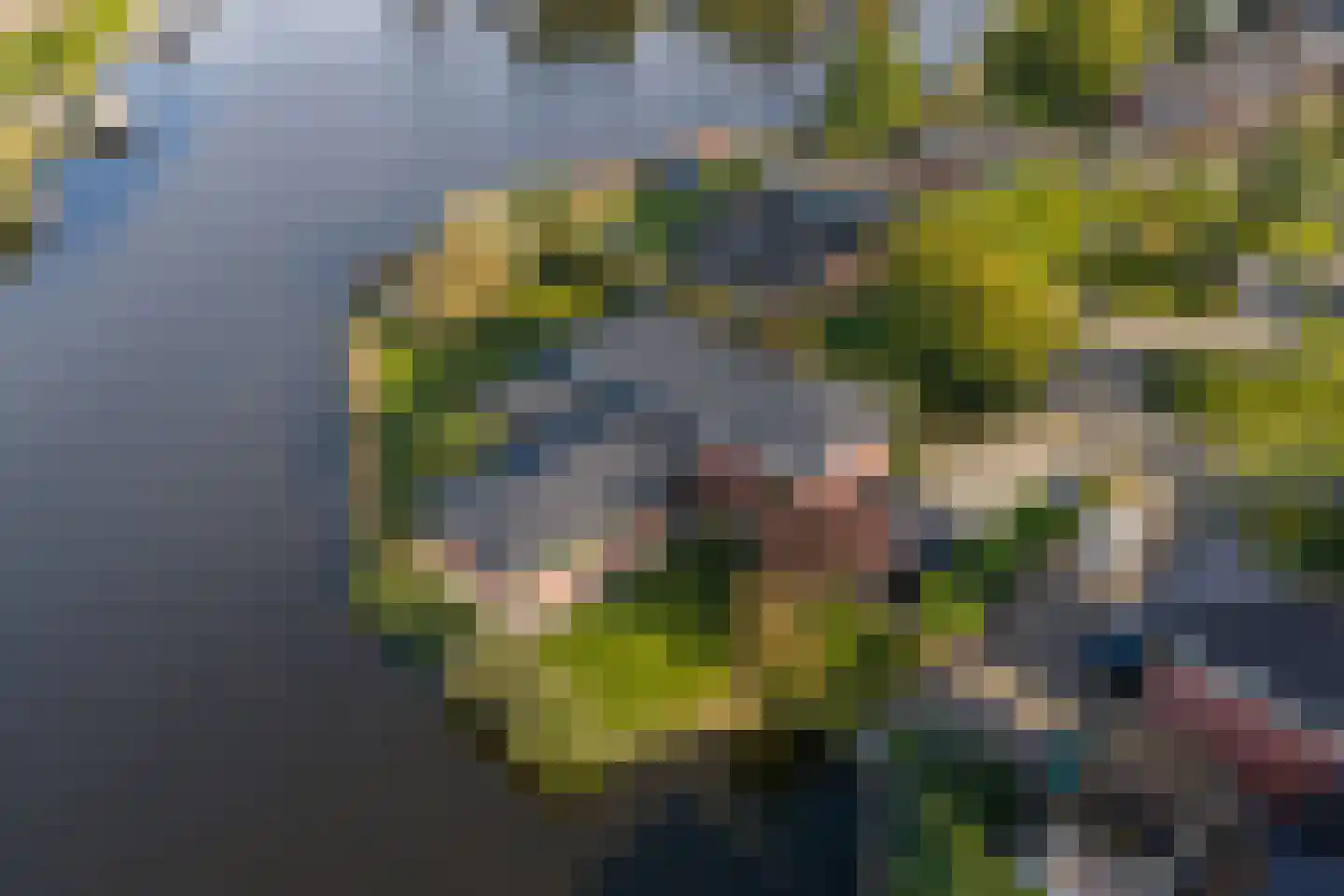 Vechtlaan 12 Kropswolde thumbnail 101