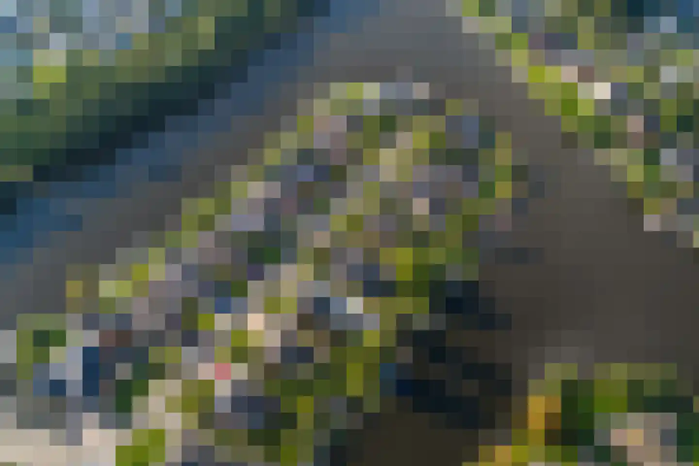 Vechtlaan 12 Kropswolde thumbnail 105