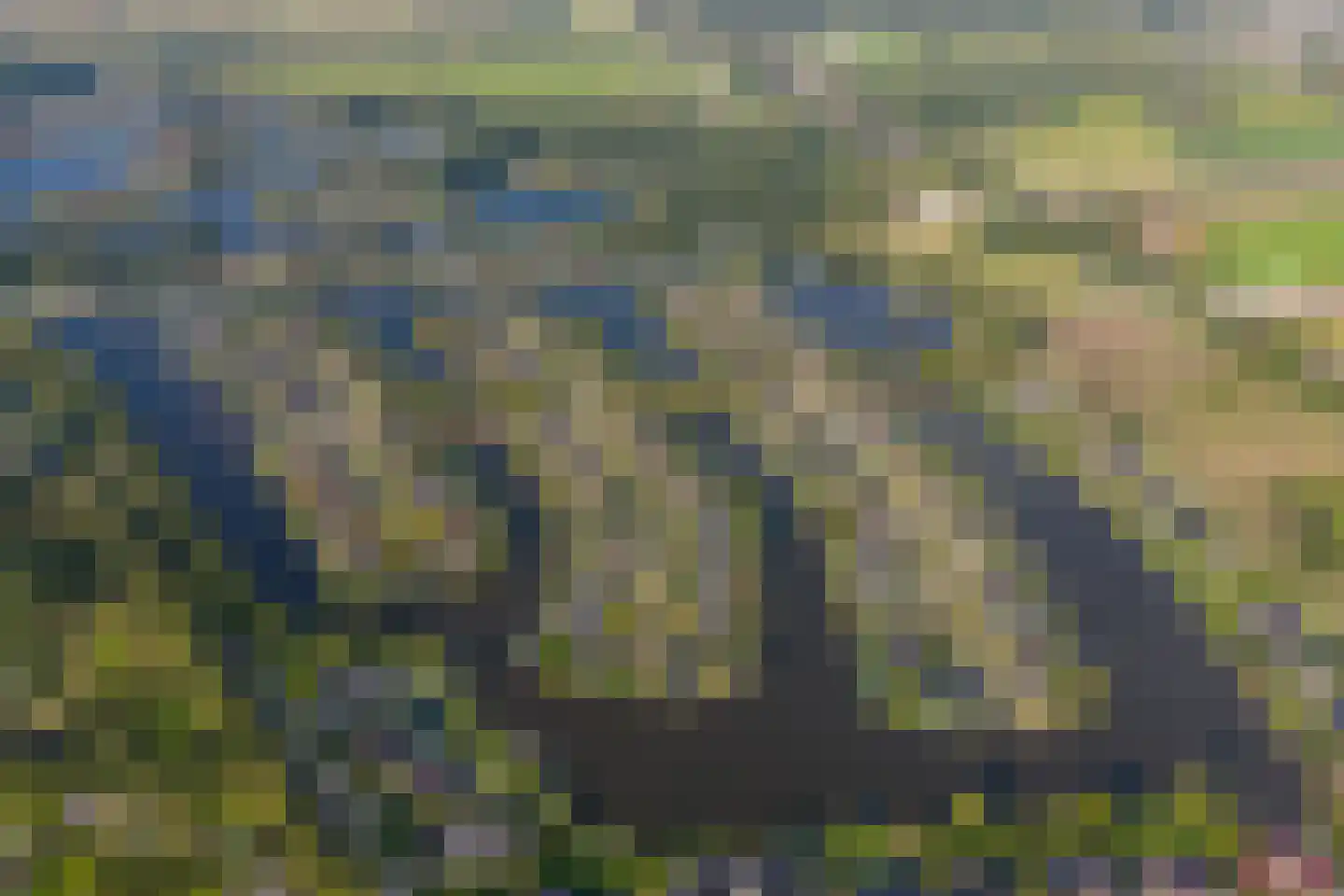 Vechtlaan 12 Kropswolde thumbnail 106