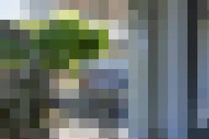Vechtlaan 12 Kropswolde thumbnail 20