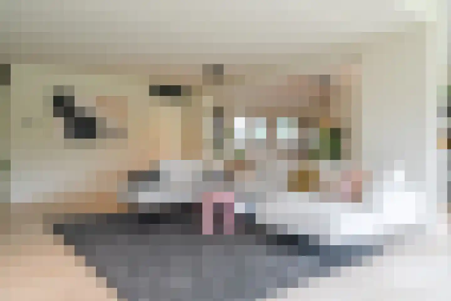 Vechtlaan 12 Kropswolde thumbnail 21