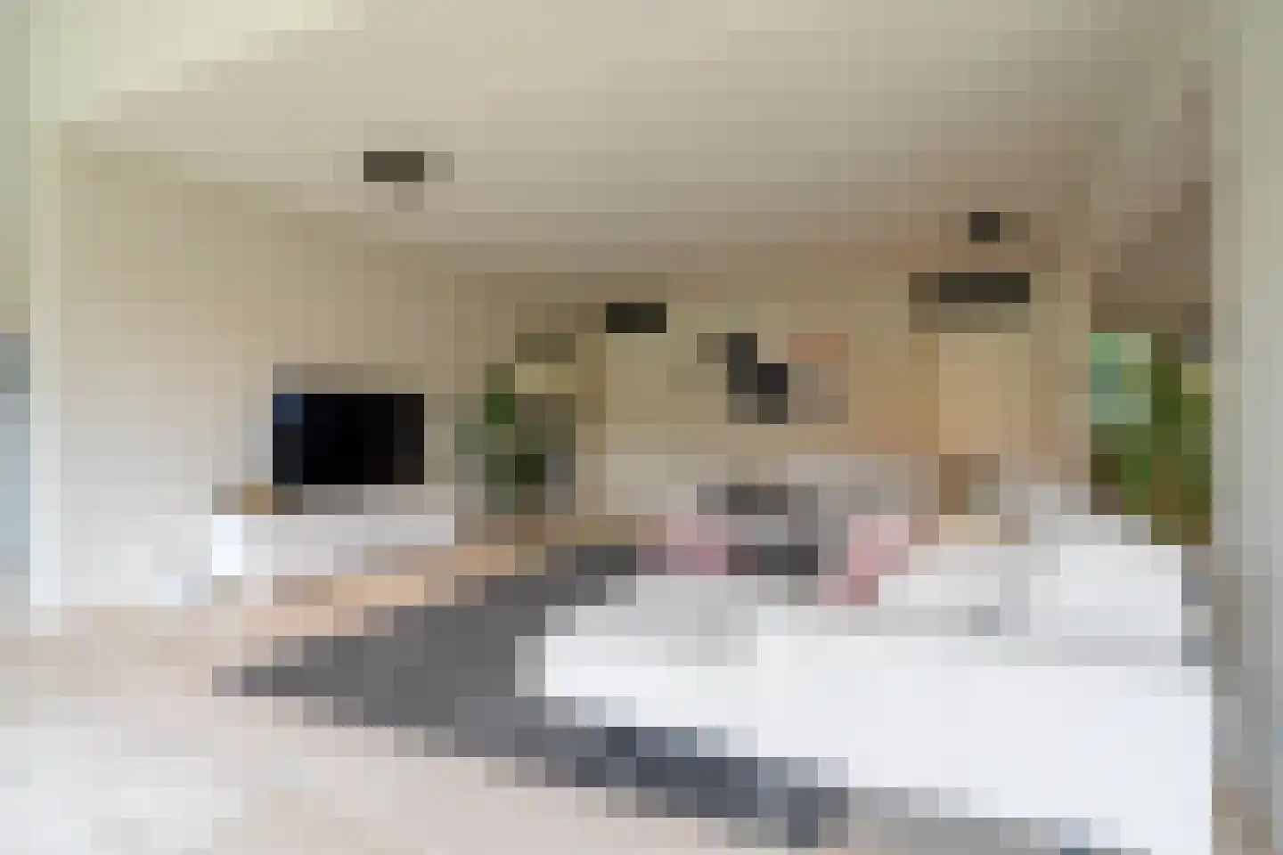 Vechtlaan 12 Kropswolde thumbnail 22