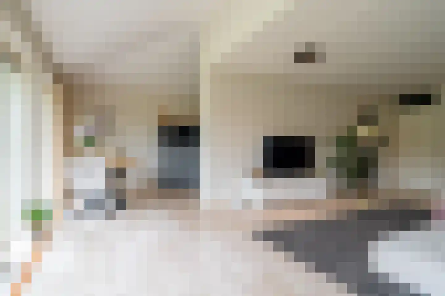 Vechtlaan 12 Kropswolde thumbnail 23