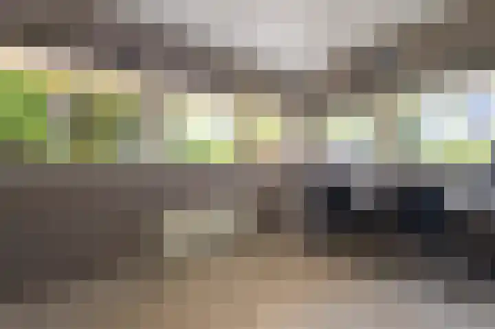 Vechtlaan 12 Kropswolde thumbnail 29