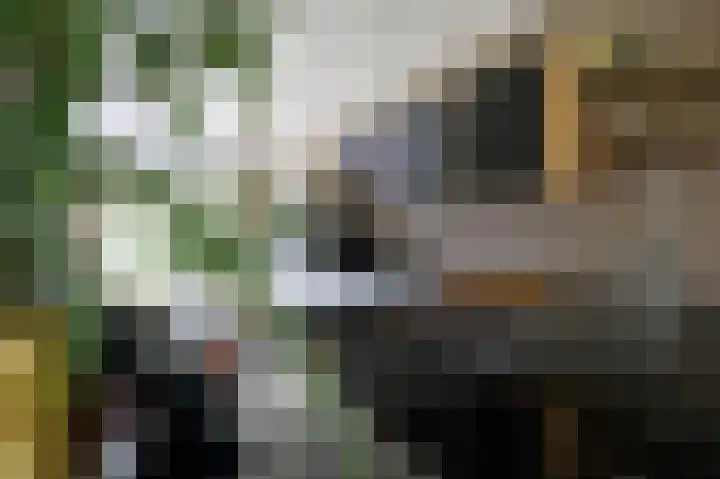 Vechtlaan 12 Kropswolde thumbnail 32
