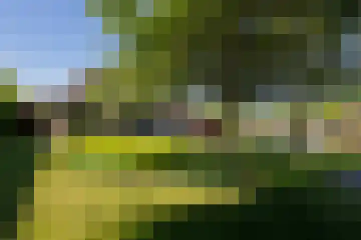Vechtlaan 12 Kropswolde thumbnail 4