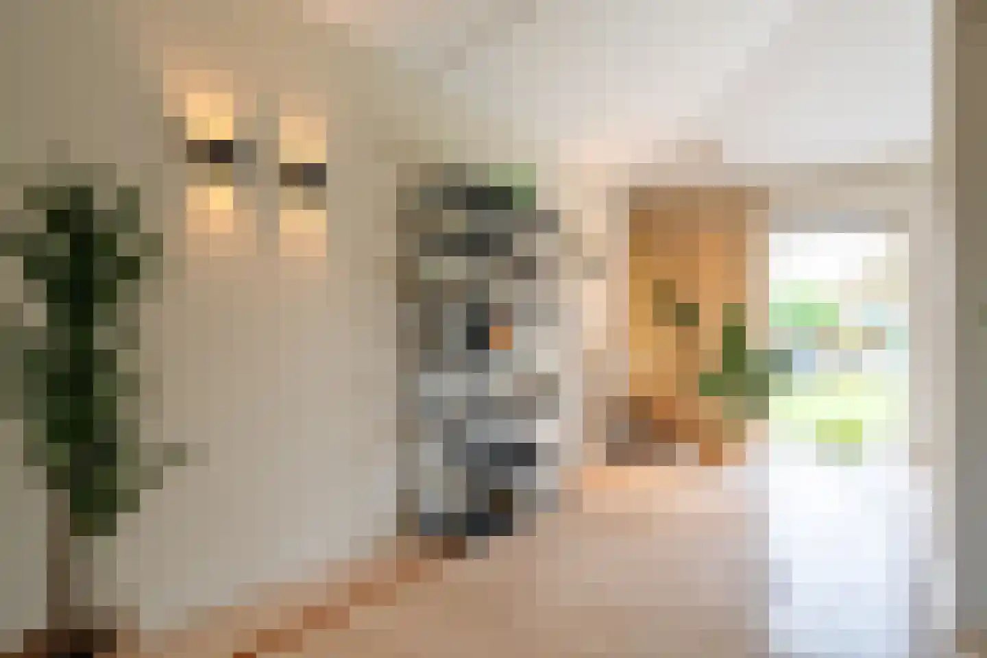 Vechtlaan 12 Kropswolde thumbnail 41